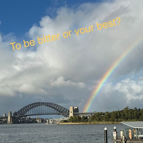 To be Bitter or Your Best?